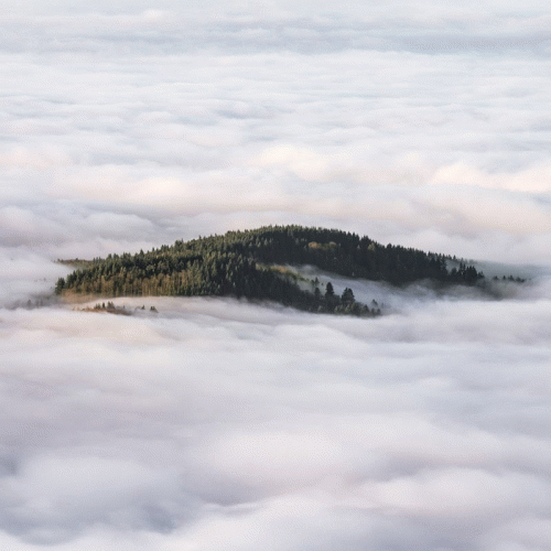 Coltaine : Forgotten Ways